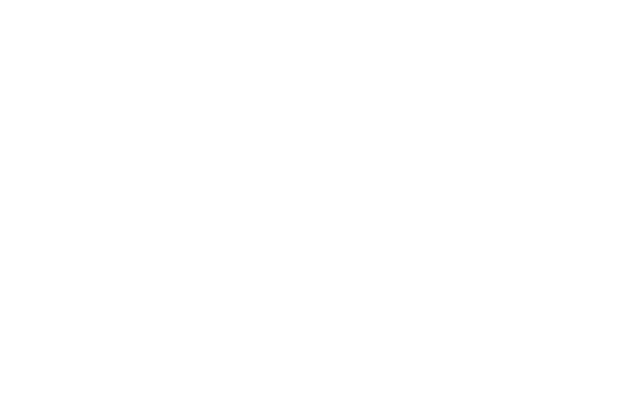 Solutions Importadora & Logistics Services